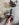 1299D486-0CE1-4632-874B-938FD3BC0E1A.jpeg