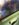 416D246B-8DF0-43C0-B234-D3F3ABEFA22F.jpeg