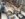 79F48786-641A-442E-83CE-9A0AB9D52293.jpeg
