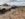 F9A55453-8882-4C74-B650-CDCAEE9CF4F7.jpeg