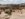 78AC5DAB-3D8B-41CF-9118-A485E997326C.jpeg