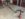 8D0B274D-3B33-4F0B-BCDF-43A04CD99933.jpeg