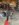 6D0A9D52-C885-41E5-825F-E78442F0F662.jpeg
