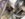 07F9FE49-779B-4126-9A9F-B8B4C5CDD6FC.jpeg