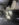 4B5D0A21-748C-405E-AD59-4A93D76A446C.jpeg