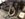 91A4CFB0-AD9E-4189-917D-B6E302EC84A7.jpeg 91A4CFB0-AD9E-4189-917D-B6E302EC84A7.jpeg