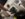 A8258325-3BB0-4745-A040-D66C9CC7EF1D.jpeg