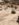 F4215698-32F7-4729-B681-50BD92141097.jpeg