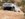 4DD19D41-CDCC-41C1-8D3E-DE9CB7F90502.jpeg