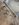D236CE95-0C6C-4A01-BD0F-B7C30CA7A48B.jpeg