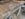 CD80DB3F-5900-4838-B7D1-1B19425323DD.jpeg
