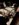 IMG_7486.jpg IMG_7486.jpg