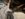 IMG_7487.jpg IMG_7487.jpg