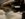 IMG_7488.jpg IMG_7488.jpg