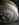 AFFE7468-A4DD-4D71-B112-D2553C96A732.jpeg