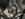 C94B1403-8AAF-4131-8C53-52E96B64AC70.jpeg