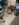 780D4A08-D995-44EF-896D-65C554DBF554.jpeg