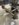 9557A0DB-70F5-49BB-98E7-A01283890B94.jpeg