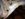 EA778289-9882-442F-9669-FB9C5DD71F9C.jpeg