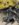 2CEA451A-852A-4A38-BF51-03BD08FC1D94.jpeg
