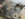 53477B0C-5E01-4B41-9255-7942C879659A.jpeg