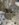 9CF04D8A-7F93-464C-AC3C-3A9DCC1489F8.jpeg