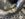 49E9F210-9AB0-431D-86A8-0BF98CF9767D.jpeg