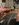 57D7A1FA-CD3A-4B49-A96C-896CED04ADCE.jpeg