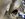 8EBD4BB2-93D6-42B9-B132-35EA6FBAE02D.jpeg
