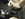 8D55EDC2-E7F9-45D1-BCAD-B2A835760ECC.jpeg