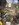 D61545E1-AC34-4832-BE5D-66383A08358D.jpeg