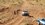 12E54BD0-1778-45CA-BAF6-BBBE9F6E7375.jpeg