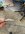 75214DCE-F1E9-433C-BEAD-0ECF0BC4BE34.jpeg