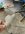 2B716FA7-5F4E-4D46-86C4-89839827E9D8.jpeg