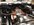 B0BD085F-0DC3-4242-8EEE-7F166DD42BAF.jpeg