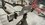 IMG_0852.jpeg