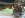 Picture from trails and new years 107.jpg