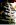 bogger-groove-2.jpg