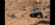 C1BC1ECB-D701-4619-AE18-85C3C34F78B7.png