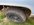 B722B6FE-428A-473C-BA0A-F7B15635D32F.jpeg