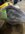F31FAEC1-7B27-4B62-8A31-4BAC03EFD891.jpeg