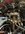 image0-3.jpeg