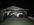2955B489-9B34-402C-8BC4-0968D6F81149.jpeg