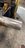 9BC9E29F-CD7C-492E-9D55-E871E5324A96.jpeg