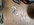 PXL_20210331_214510675.jpg