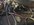 2B012A7C-168D-47AF-92BD-64982BA41103.jpeg