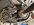 DE331085-3E98-4AAB-A000-F7FEE776782B.jpeg