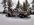 received_481619949860654.jpeg