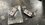 IMG_0985.jpeg