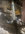 AC5838D8-4DB2-445D-98A4-525D719B37BC.jpeg